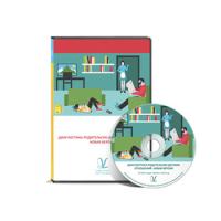 Программа диагностика родительско-детских отношений