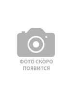 Дидактические и наглядные пособия (по предметным областям), Родина, Россия